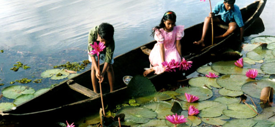 Kerala Wildlife